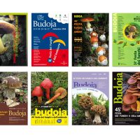 serie di manifesti «Festa dei funghi e dell'ambiente»